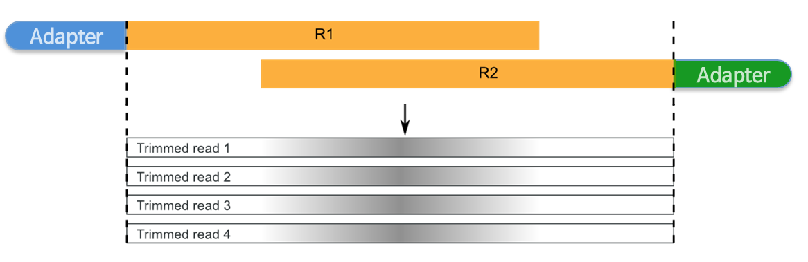 [Figure 5.2.1-13]