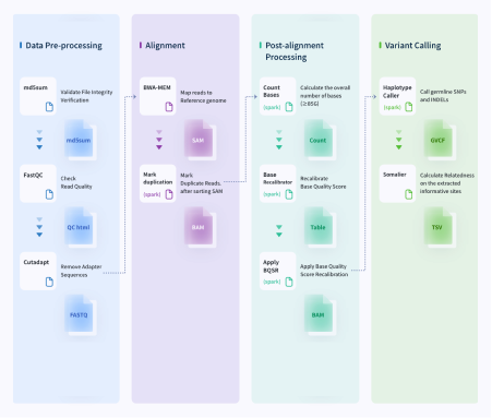 Whole-Genome-Sequencing