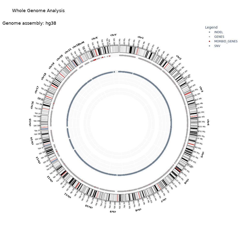 Single-Cell-RNA-Sequencing-Pipeline