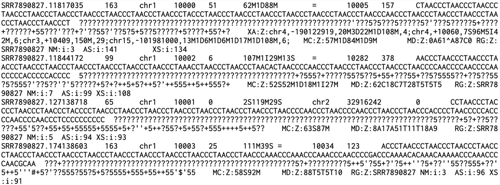 result image