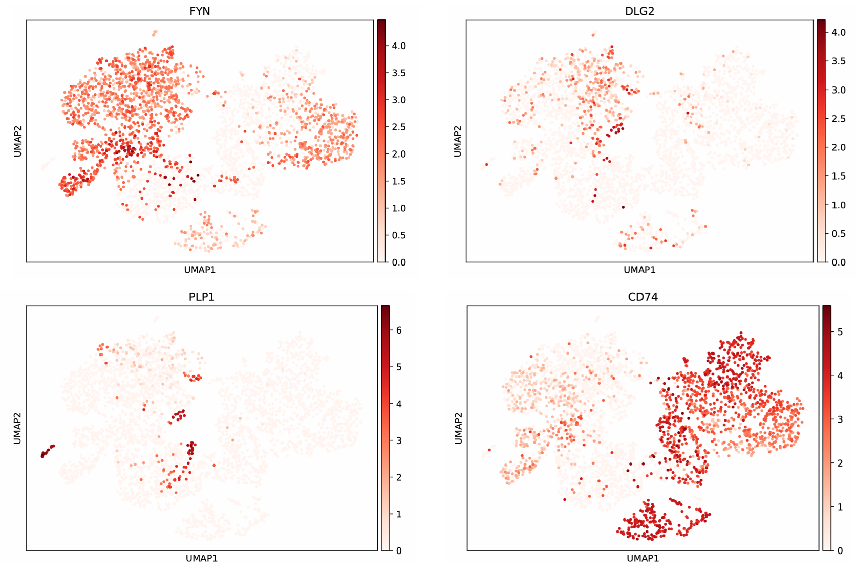 result image