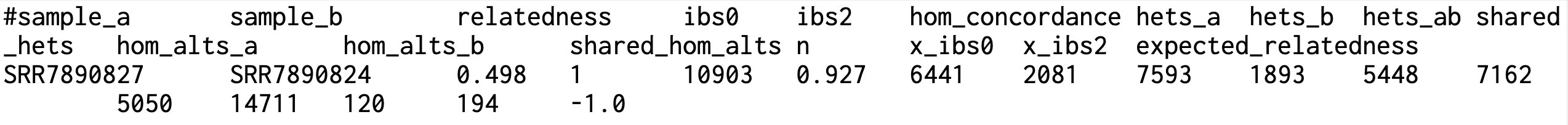 result image