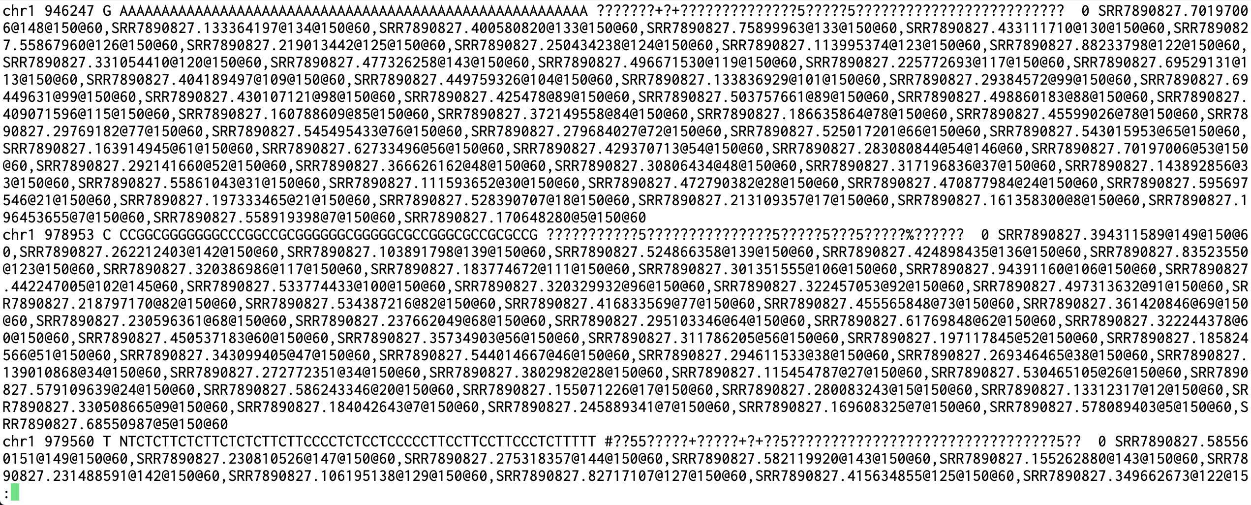 result image